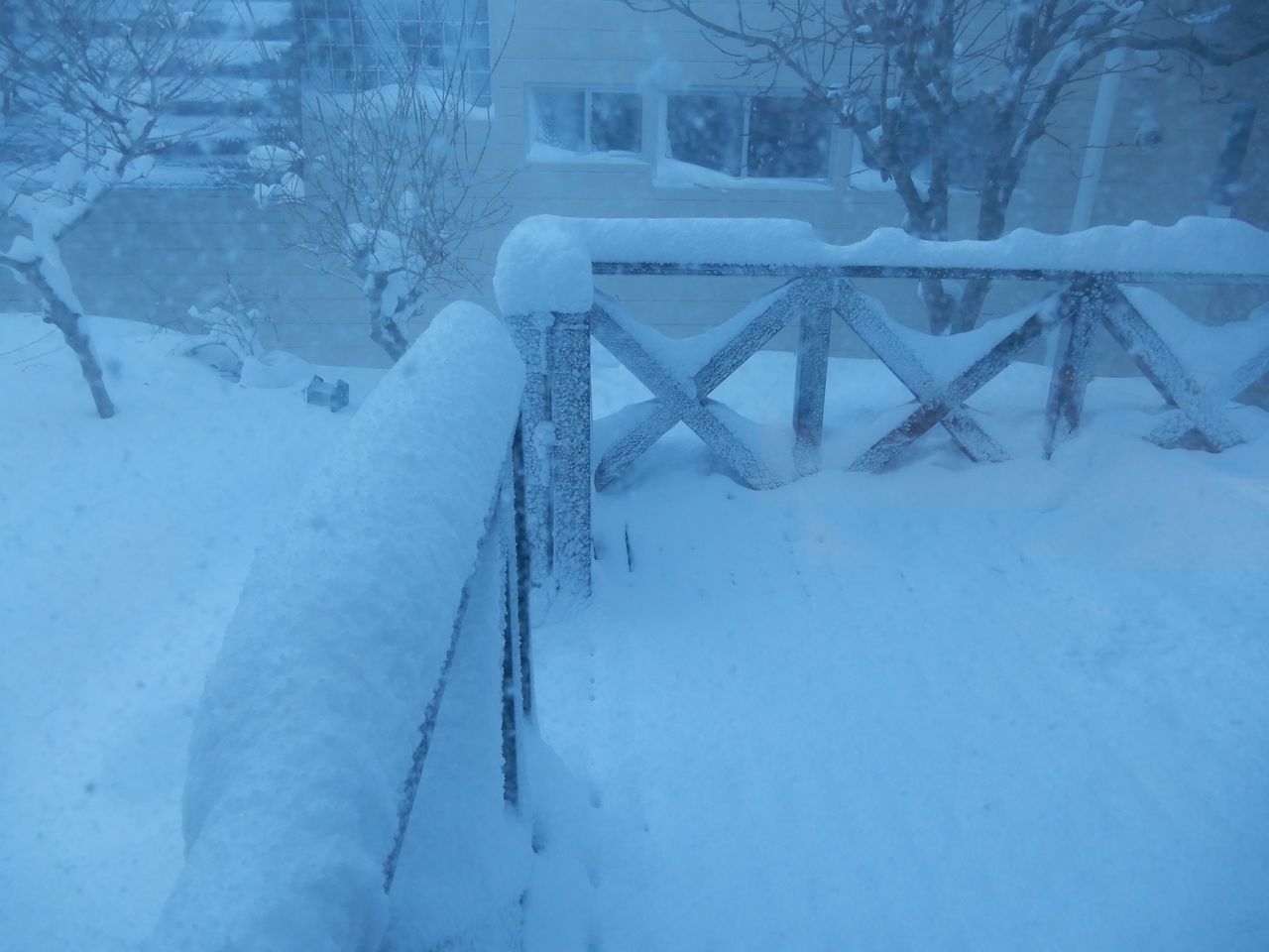 豪雪で明けた寅年_c0025115_22392072.jpg