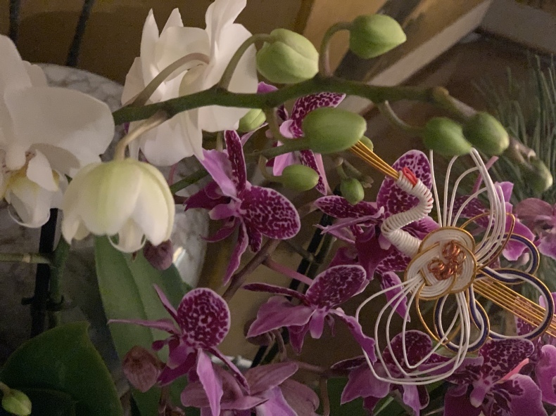 謹賀新年_f0380954_11303130.jpeg