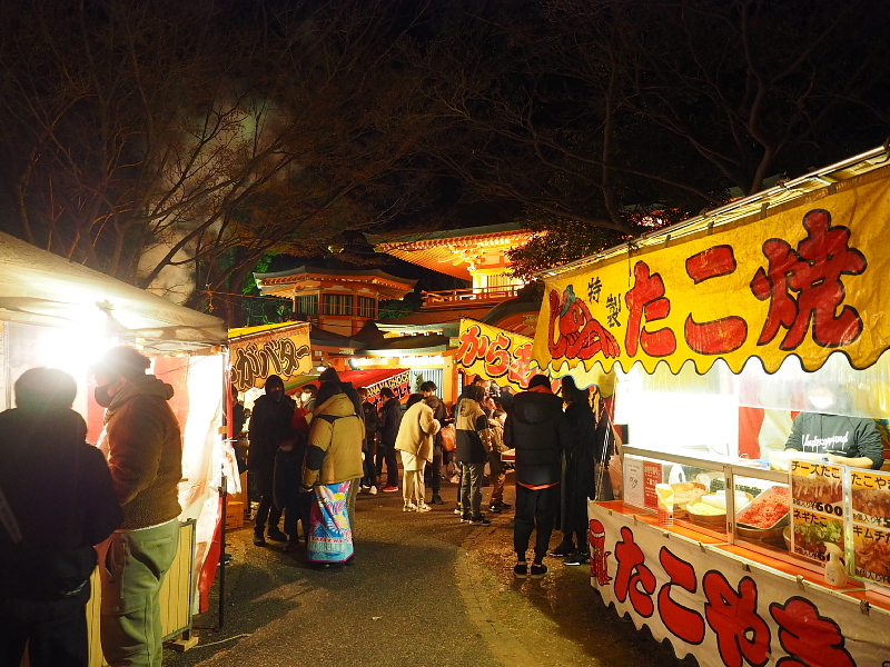 【星のソムリエ的解説】「星の神社」へ初詣 ~千葉神社から初日の出_b0008655_13305963.jpg