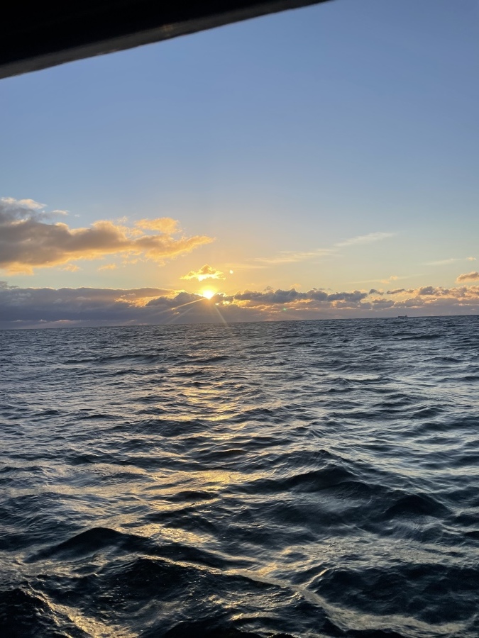 1月1日 カワハギ便 92枚_d0335966_18245750.jpeg