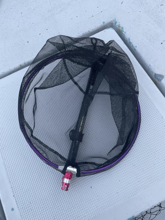 1月1日 カワハギ便 92枚_d0335966_18375657.jpeg