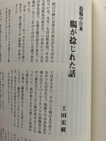 ジョン・フォード『アパッチ砦』～「腸が捻れた話」②_b0050651_09183010.jpg