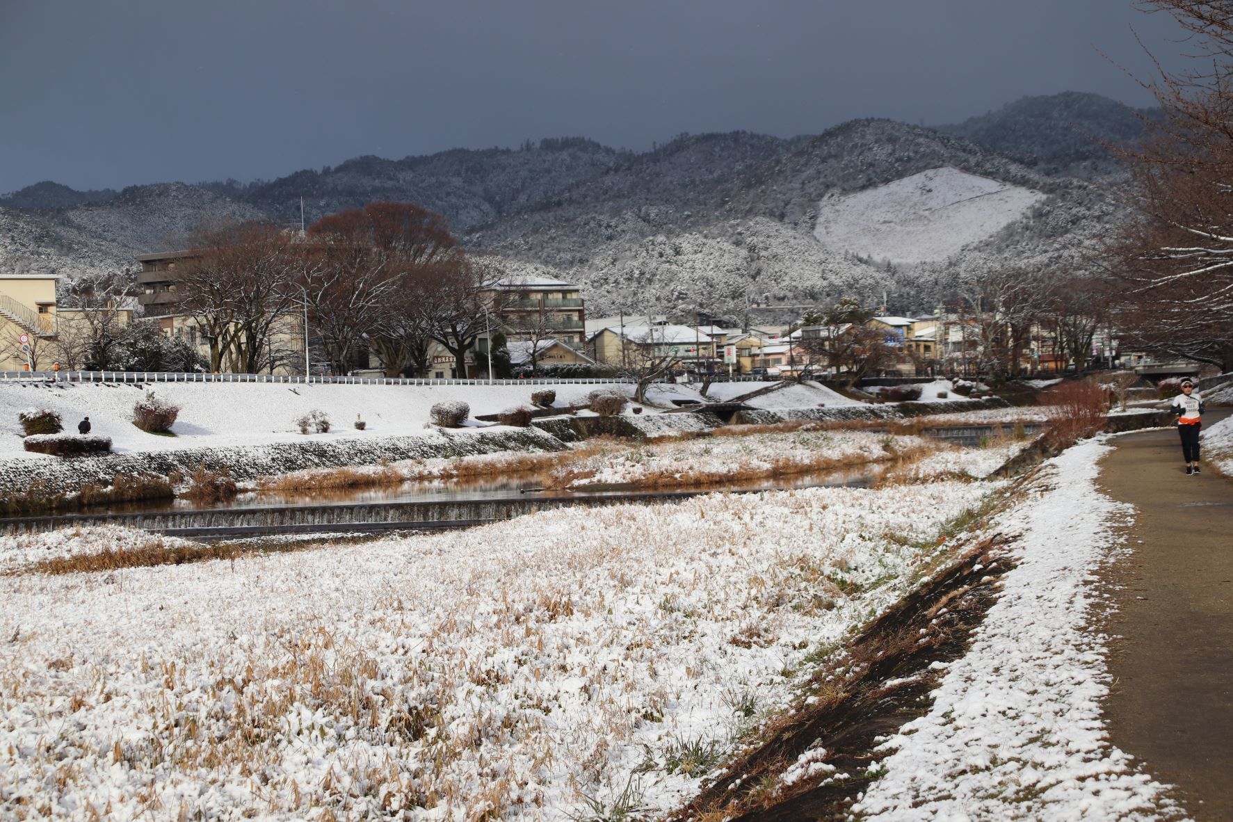 加茂川上流も雪景色　元日_e0048413_17035044.jpg