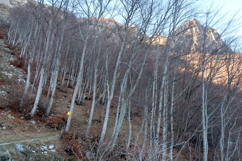 海も遠い山も見晴らせる新春の山歩き、イタリア シビッリーニ山脈_f0234936_23291388.jpg