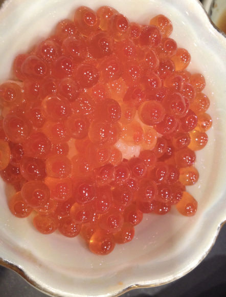 大西貴文さんのTHE NITE にて新年最初のゲストでNYから生出演させて頂きます_a0150139_12194001.jpeg