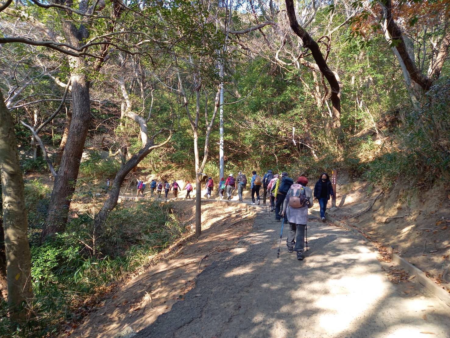 初詣・高取山三社詣_c0218841_20144326.jpg