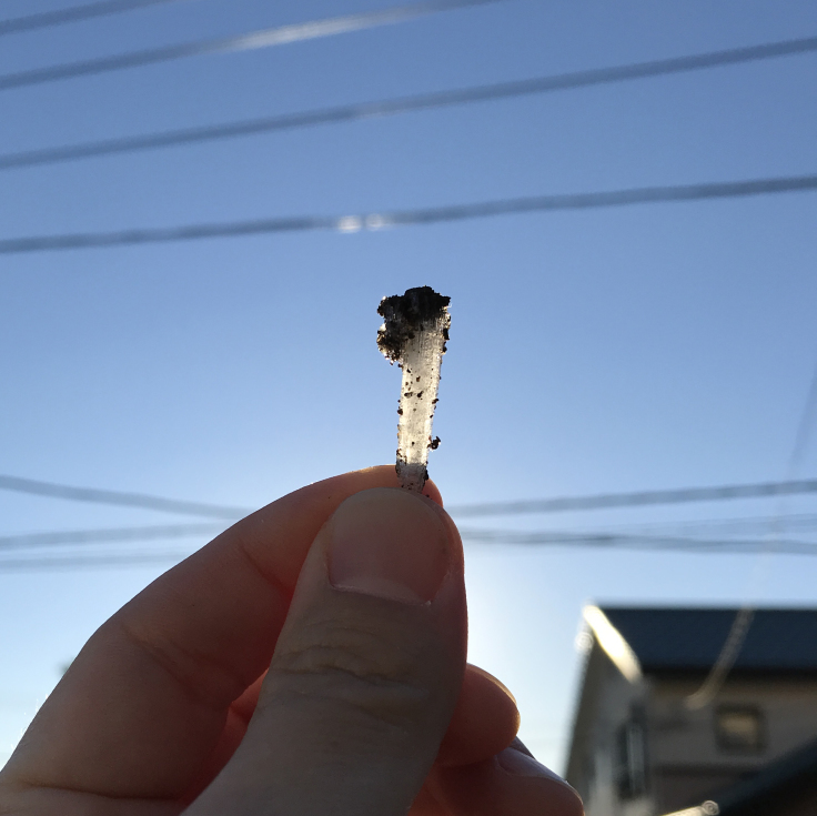 あけましておめでとう2022_d0386342_06290905.jpg