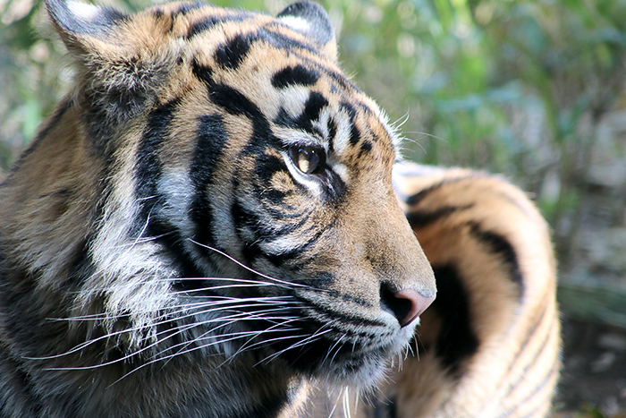 横浜ズーラシア動物園_b0049843_14373964.jpg