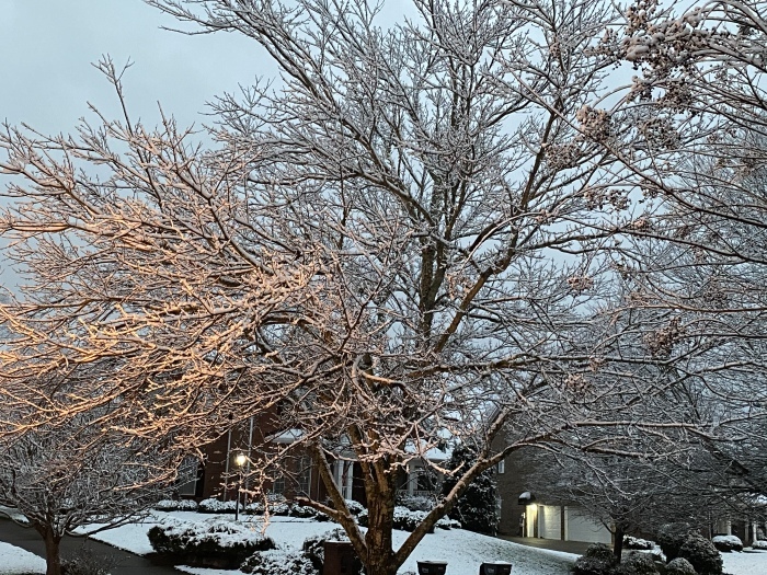 雪 カントリーなアメリカから