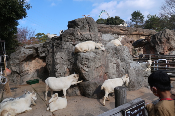 謹賀新年　2022　動物園を散歩_b0302299_20302585.jpg