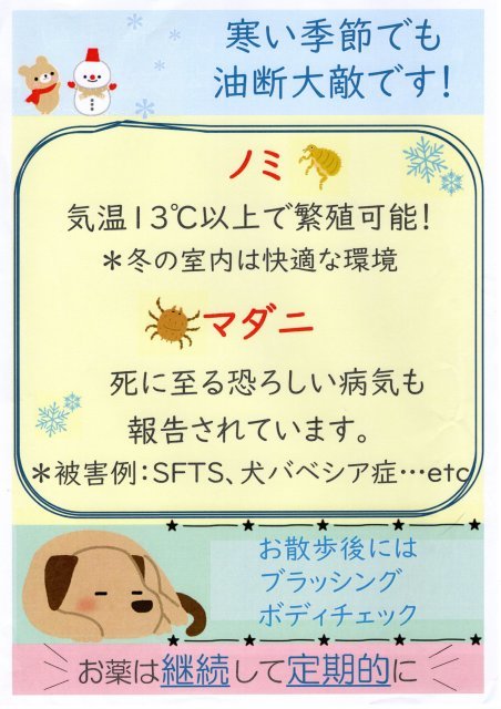 冬もノミダニ予防 保永犬猫専門病院のブログ