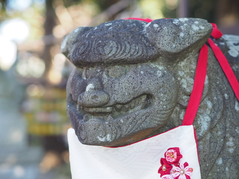 【Photo日記】令和四年版「アイーン狛犬＆御朱印」津田沼 菊田神社_b0008655_15255578.jpg