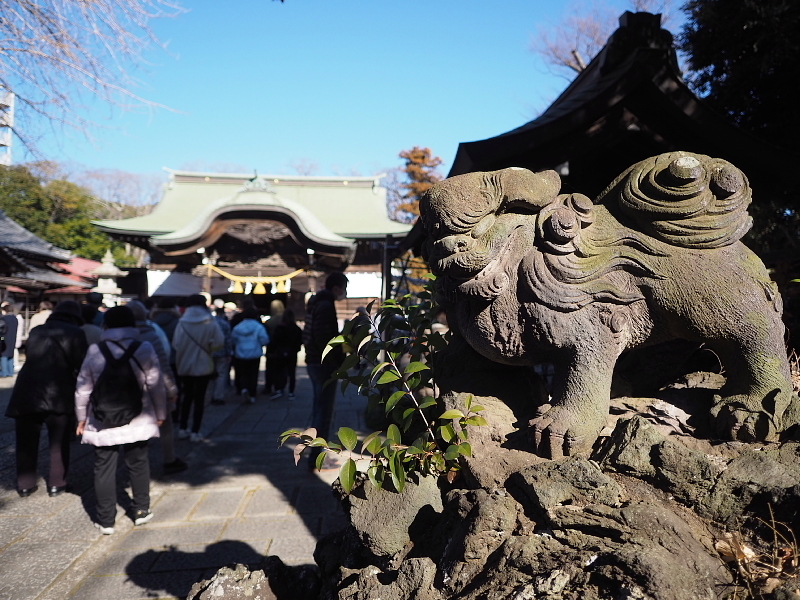 【Photo日記】令和四年版「アイーン狛犬＆御朱印」津田沼 菊田神社_b0008655_15293237.jpg