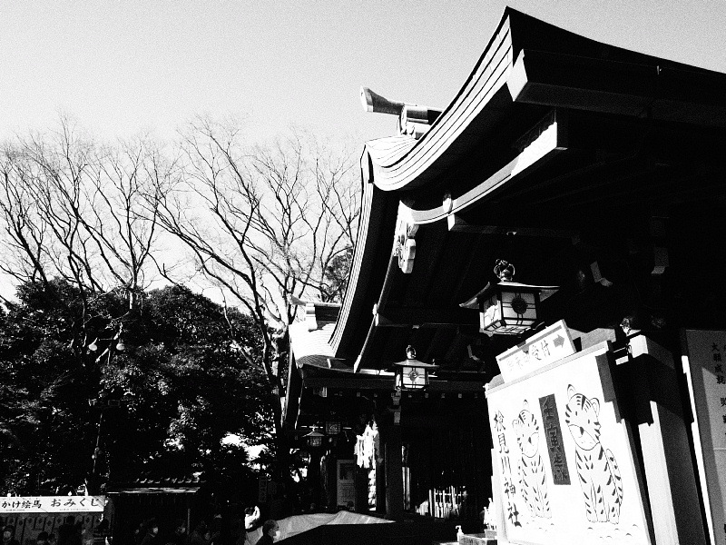 【Photo日記】モノクローム：検見川神社の新春_b0008655_17244174.jpg