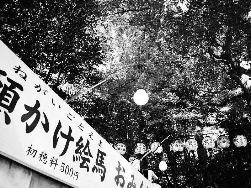 【Photo日記】モノクローム：検見川神社の新春_b0008655_17250027.jpg
