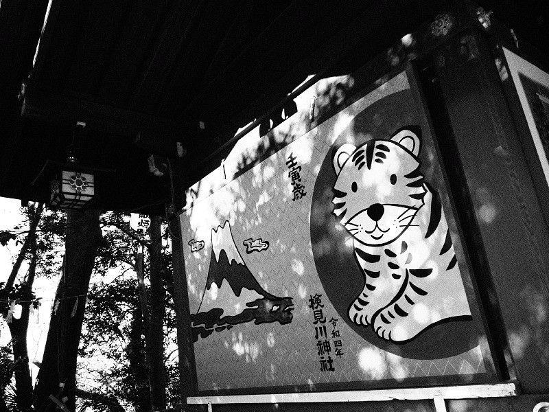 【Photo日記】モノクローム：検見川神社の新春_b0008655_17264773.jpg
