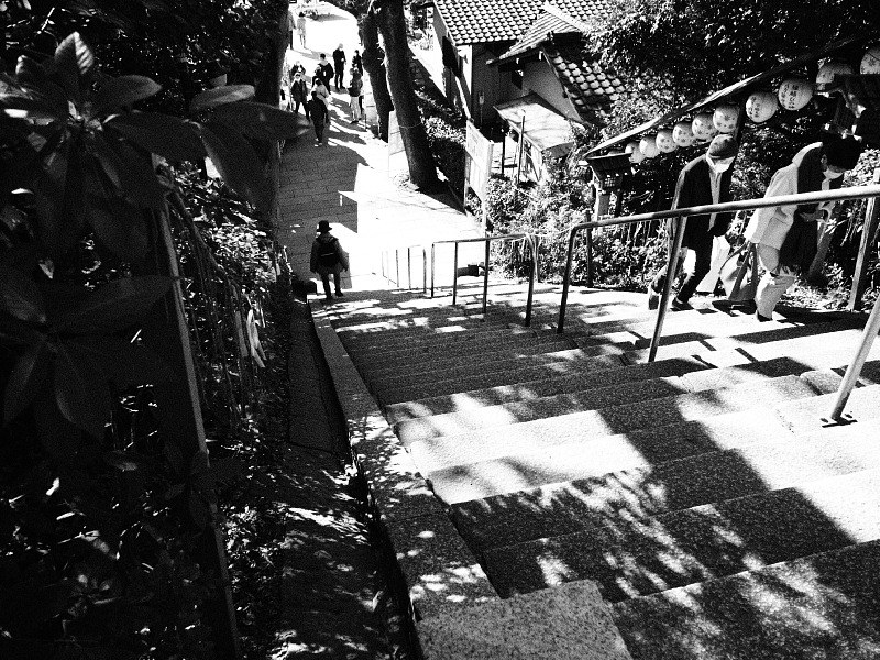 【Photo日記】モノクローム：検見川神社の新春_b0008655_18131222.jpg