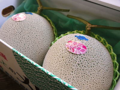 熊本産!高級マスクメロン!令和4年1月は11日(火)に出荷日が決定!数量限定!早い者勝ち!_a0254656_18263922.jpg