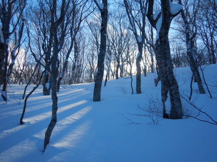 蔵王・不忘山 ～ ２０２２年１月２日_f0170180_10100204.jpg