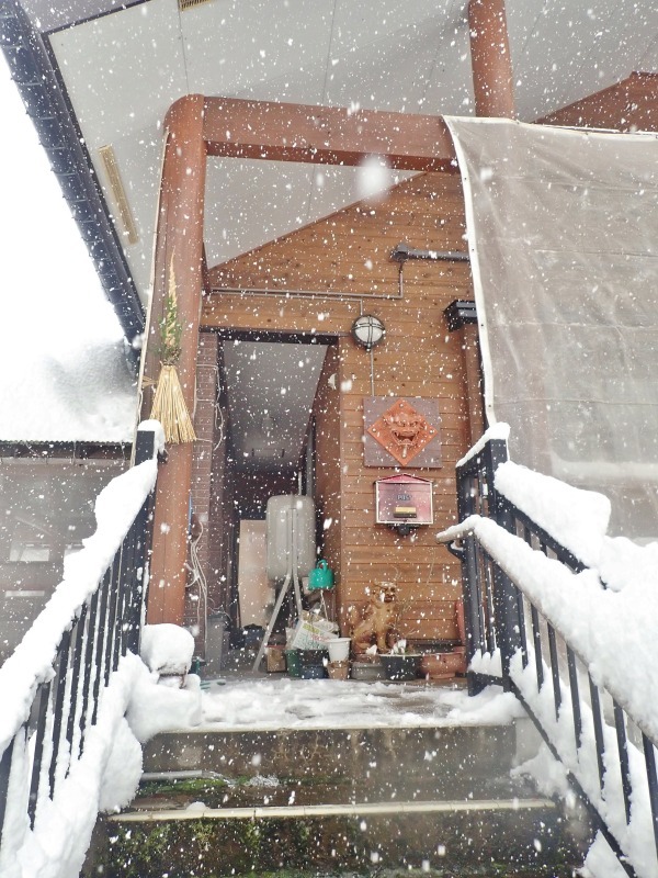 防雪ネットを取り付けました_c0336902_21013174.jpg