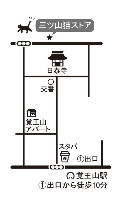 鈴木明子さんのワークショップのご案内_e0305824_14221269.jpg
