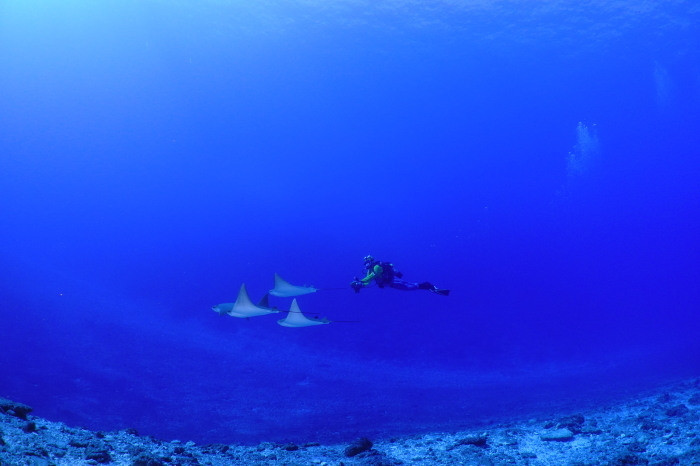 2021.01.03　はなまる２dive✌_a0335173_10024323.jpeg
