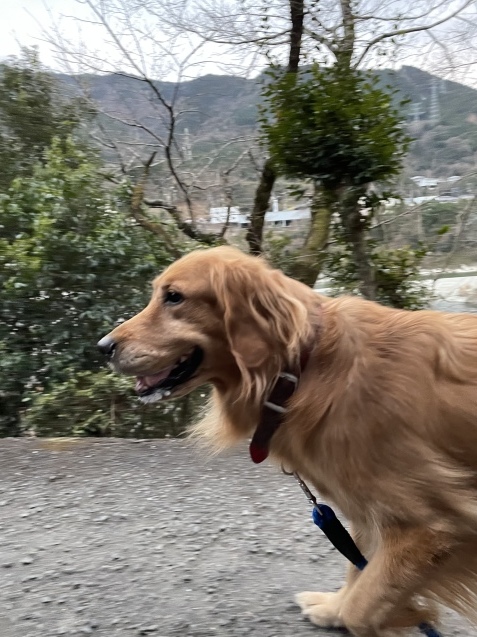 日常へ。_a0394574_19465855.jpeg