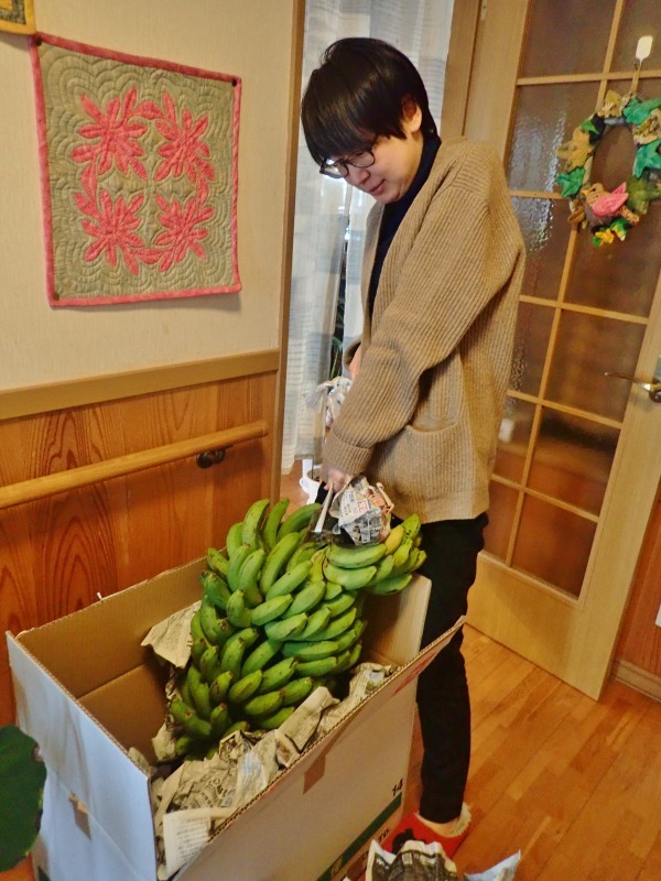 兼業農家へ大きなバナナの房が届きました_c0336902_21181810.jpg