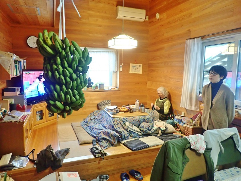 兼業農家へ大きなバナナの房が届きました_c0336902_21182384.jpg