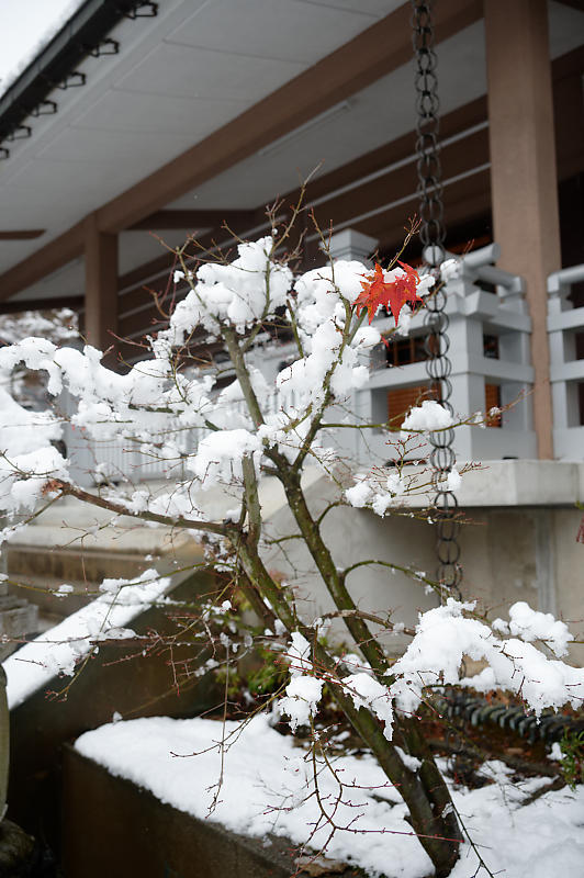 2021年滋賀県の雪景色@東近江 石馬寺_f0032011_19373787.jpg