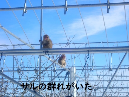 晴れたら暖房要らず。_c0182012_12310103.jpg