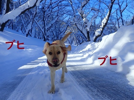 晴れたら暖房要らず。_c0182012_12310349.jpg