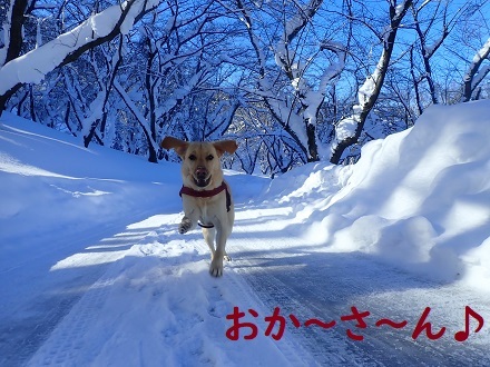 晴れたら暖房要らず。_c0182012_12310543.jpg