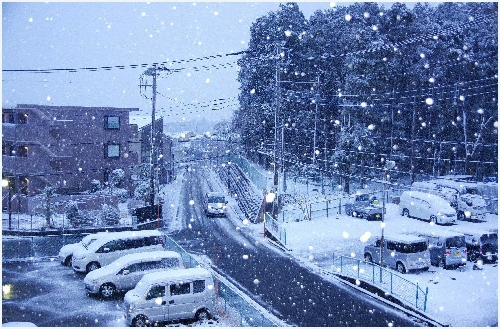 窓の外は・・・_c0352813_16524160.jpg