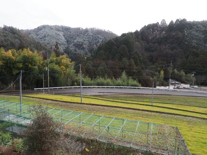 雪のち曇りのち晴れたり曇ったりのち雨_c0116915_23533570.jpg