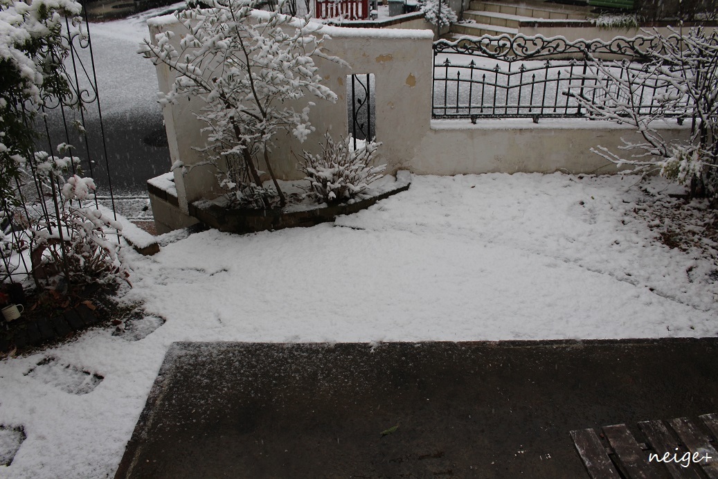 4年ぶりの大雪。ミシン部屋からの眺め_f0023333_23085523.jpg