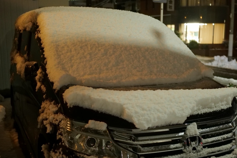 雪が降る日は忙しい_f0050534_21420785.jpg