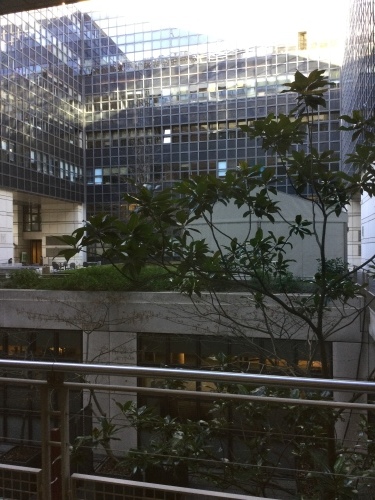 コロナ禍中の官公庁 (前の記事の続きです)_c0175451_23485192.jpeg