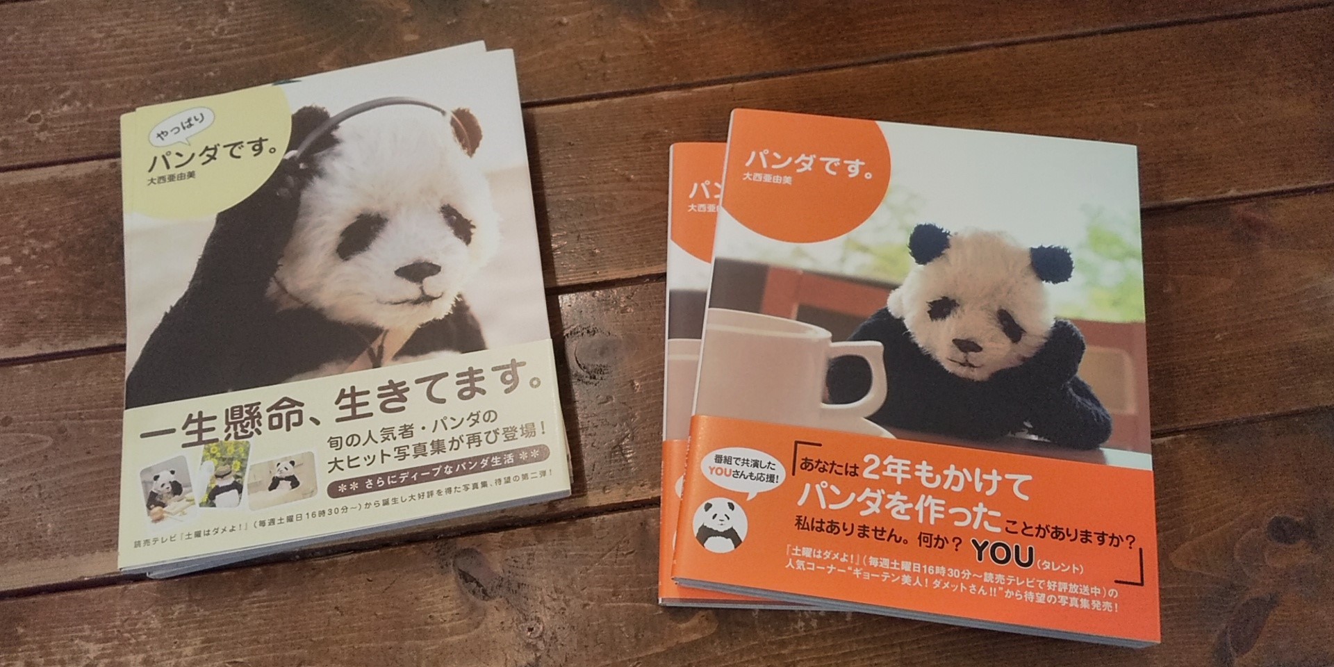 年越しパンダ展 ＰANDA panda LIFE***大西亜由美さん作品通販可能です　１月３１日迄受付中です_d0322493_16581735.jpg