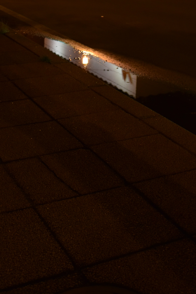 夜の函館を歩く(その1・末広町の電車通り編)_f0142606_04521223.jpg