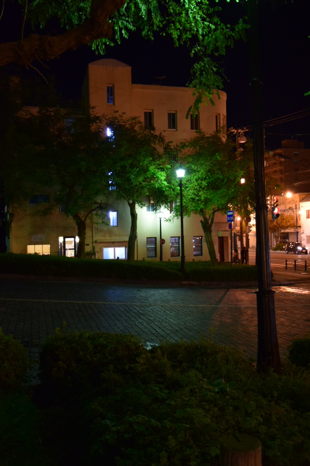 夜の函館を歩く(その1・末広町の電車通り編)_f0142606_04563697.jpg