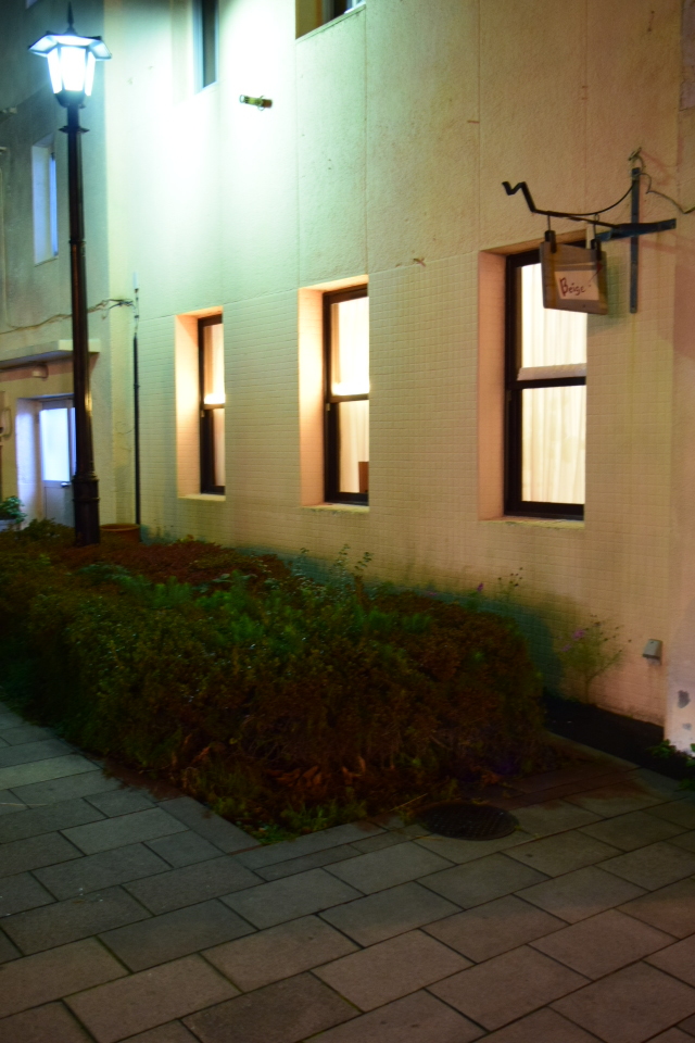 夜の函館を歩く(その1・末広町の電車通り編)_f0142606_04574463.jpg