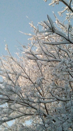 いま_f0155808_06565193.jpg
