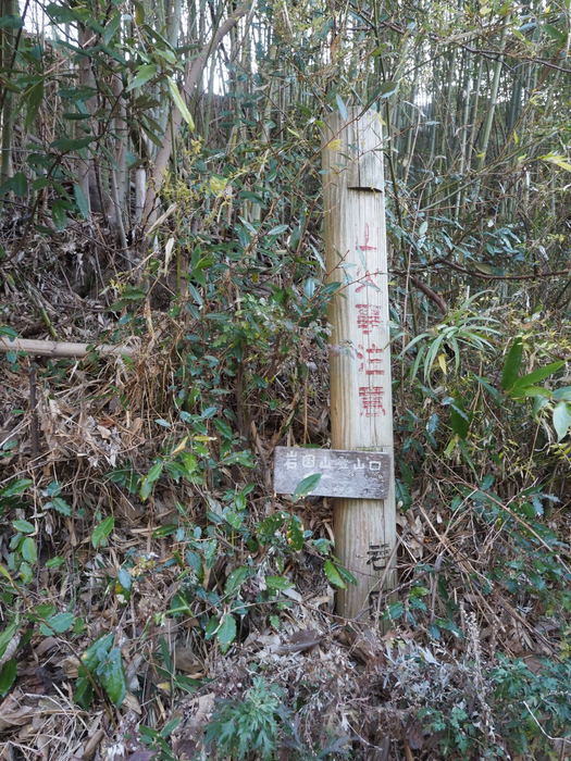 岩国山登山(椎尾八幡宮登山口ー岩屋観音ー周回)_c0116915_23564056.jpg
