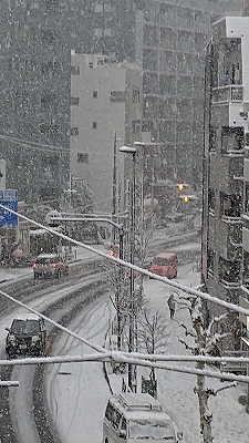 雪景色_b0122645_21404893.jpg