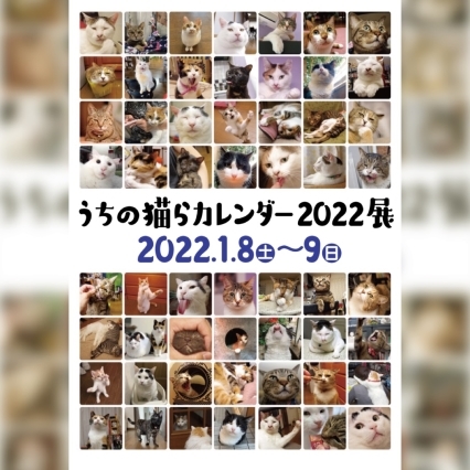 うちの猫らカレンダー展_a0028451_18364943.jpg