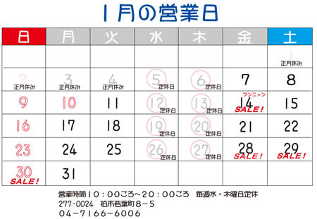 相変わらずの強風が_e0362456_11032108.jpg