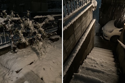 雪国生まれと南国生まれ_b0019674_21024580.jpg