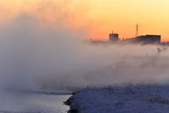 多摩川の川霧・雪の朝_f0173596_10270448.jpg