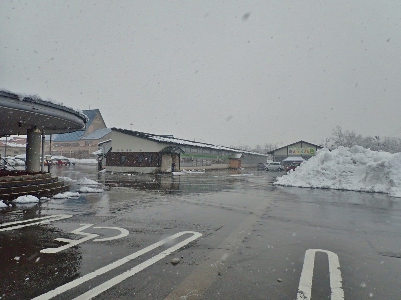 新しい年のお仕事が動き出しました_c0336902_19064473.jpg